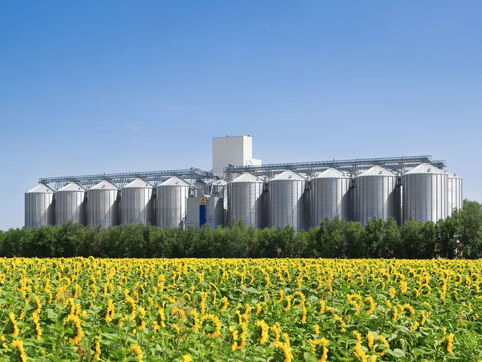 PETKUS grain storage terminals